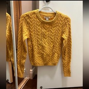 NEW American Eagle sweater